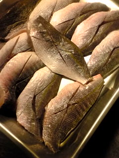 20100319110856