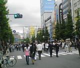 ホコ天