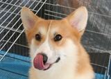 ����