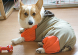 �쥤�󥳡��Ȥ��԰¤�������륻���С�