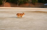 �Ҥ��������饦���