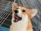 �Ҥ���