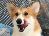 �ߤ�