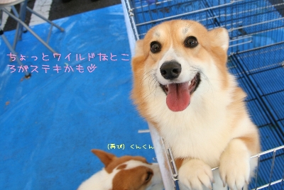 ¤Á¤ç¤Ã¤È¶¯°ú¤Ê¤È¤³¤í¤¬¥¹¥Æ¥¤«¤â¡Ä¡£