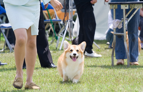 �ޤ��ޤ��������磻���ʤäƤ��������