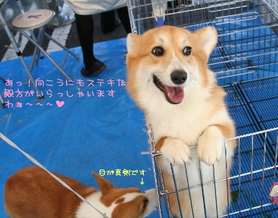 ¤¢¤Ã¡¢¸þ¤³¤¦¤Ë¤â¡Ä¡£