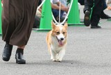 �����С��饦�����