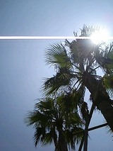 ������βơ���Ǯ�β�