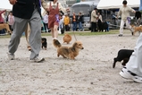 ¾åÉʤÊÊ·°Ïµ¤¤¬Éº¤¦¥À¥Ã¥¯¥¹