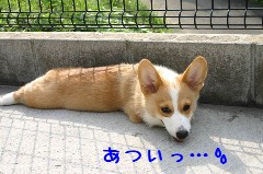 ���Ĥ��á�������(o_ _)o
