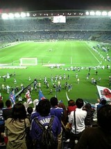 8678016e.jpg