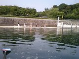 7467b97d.JPG
