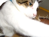 クリック→写真拡大♪