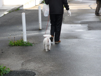 ��䤳�󤳤�3