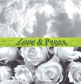 中村里美 初CDアルバム　Love &　Peace