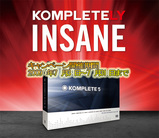 Native Instruments�Ƥ��緿�����ڡ���