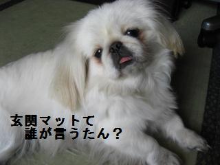 ¥¥¤¿¤ó
