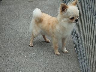 dscf0210_p