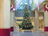 3f05d39a.jpg