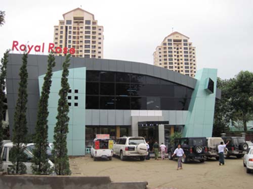 Royal Rose-1