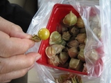 tomato