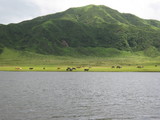 草千里