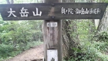 ��仳��ĺ