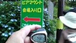 �ӥ��ޥ��������