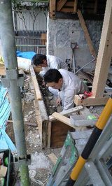 87645f82.JPG
