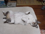 DSC00190