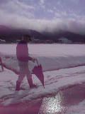 VFSH0179.JPG