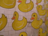 duckey 3