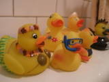 duckey 1