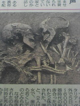 発掘写真
