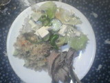 Rainforest Rub2