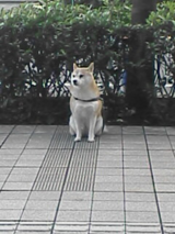 待機中