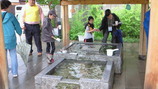 0290d3e2.jpg