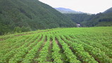 f00a655c.jpg