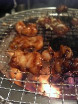 ʡ�������Ĺ�֡�����������֥��˥󥰥ۡ�����ץۥ���