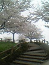 05-04-12_16-521.jpg
