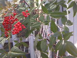 7d313b14.JPG