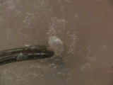 02060342.JPG