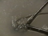 b7abd273.JPG