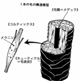 d6b375e8.gif