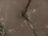 d9bf734c.JPG