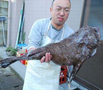 地物岩船産アンコウ