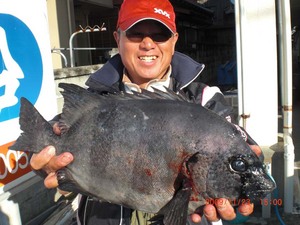 11_23_furu