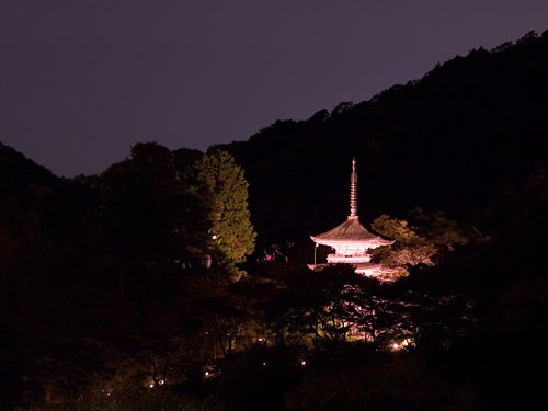 kyoto(081122)12