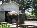 00f11282.jpg