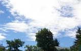 0e7df524.jpg